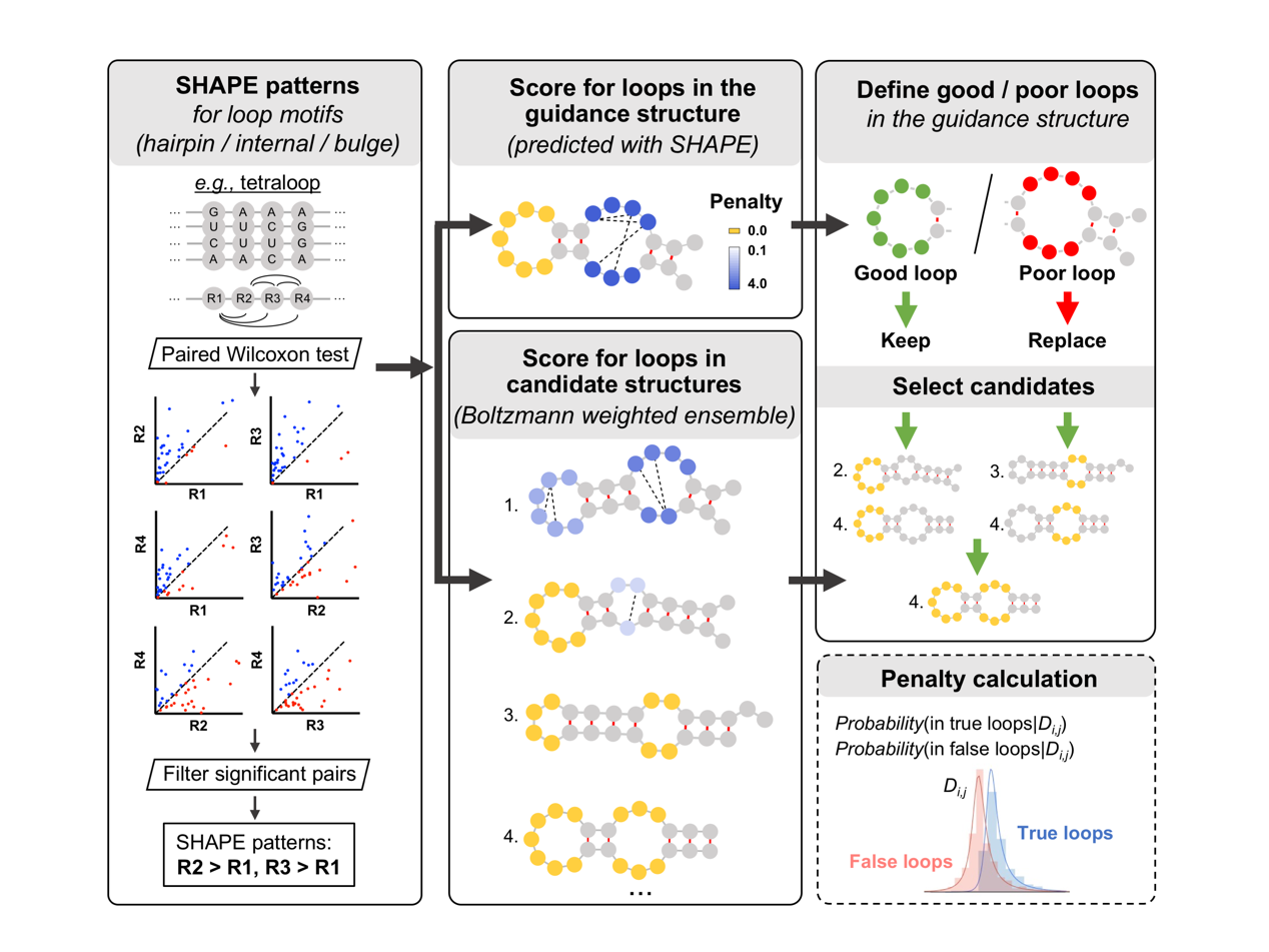 /Users/reverie/Desktop/Figure 1-png.png /Users/reverie/Desktop/Figure 1-png.png