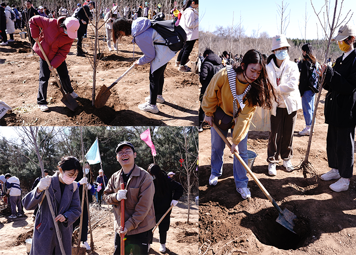 20230312-乐竞(中国)一站式服务平台师生红螺山植树活动圆满结束-教研院-师生们热火朝天地植树4.png